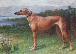 Portrait Of A Greyhound In A Landscape by Margaret Collyer