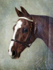 Portrait Of A Horse 'chelmsford' by Margaret Collyer