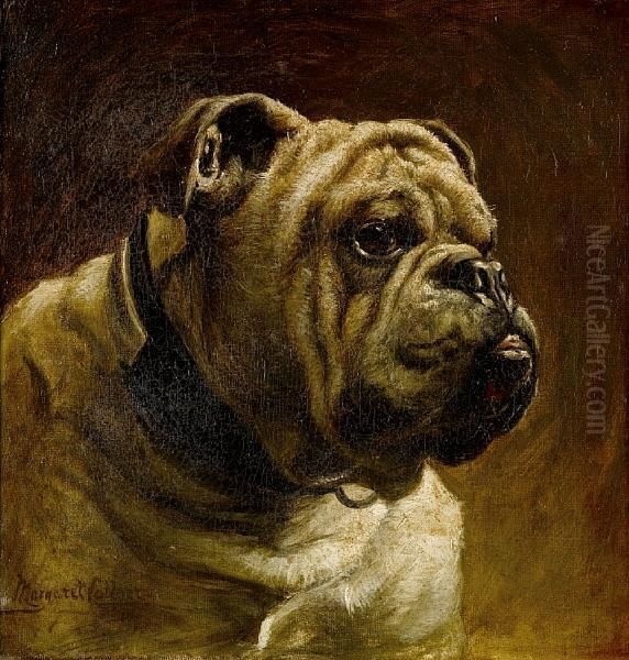 A Bulldog - view 1