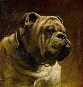A Bulldog