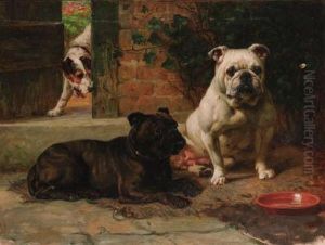 The Intruder by Margaret Collyer