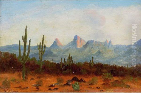 Desert Landscape - view 1