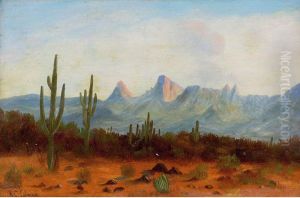 Desert Landscape