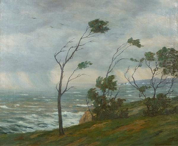 Storm Along The Coast - view 1