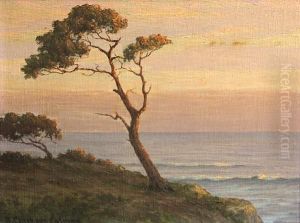 Evening Skies by Roi Clarkson Colman