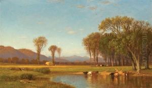 "summer Afternoon In The Meadows"
