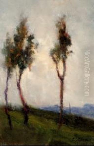 Paesaggio - view 1