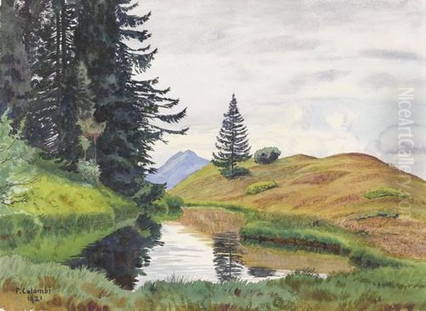 Sommerlicher Weiher In Den Alpen - view 1