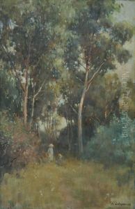The Edge Of The Wood