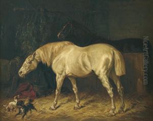 Chevaux by Gustaaf Colsoulle