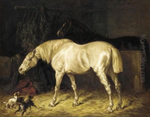 Playtime In The Stable