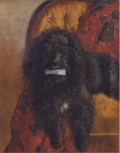 Pretty Poodle by A. Colucci