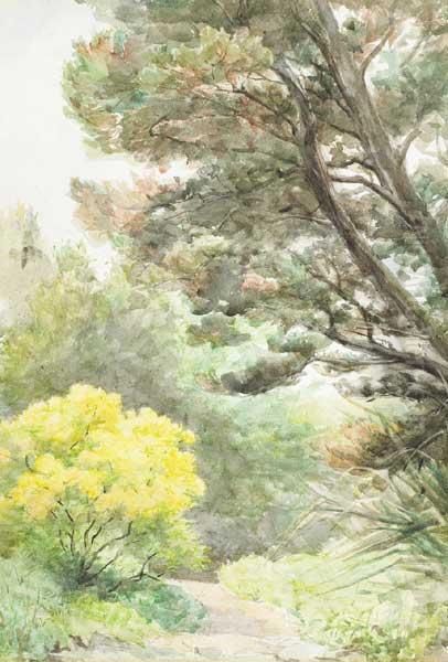 A Garden Path - view 1