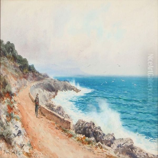 Coastal Scene - view 1