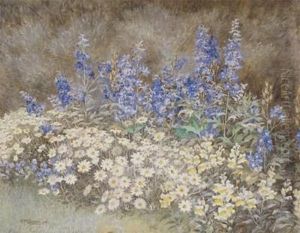 Wild Flowers Wild Flowers