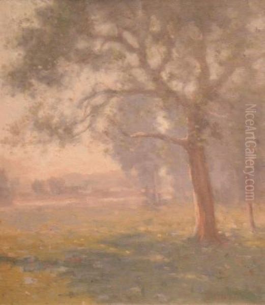 Summer Morning - view 1