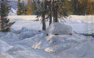 The Winter Sun