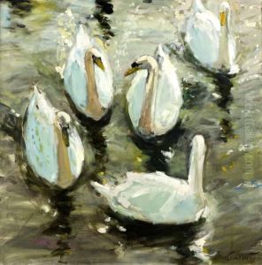 Cygnet & Swans Cygnet & Swans