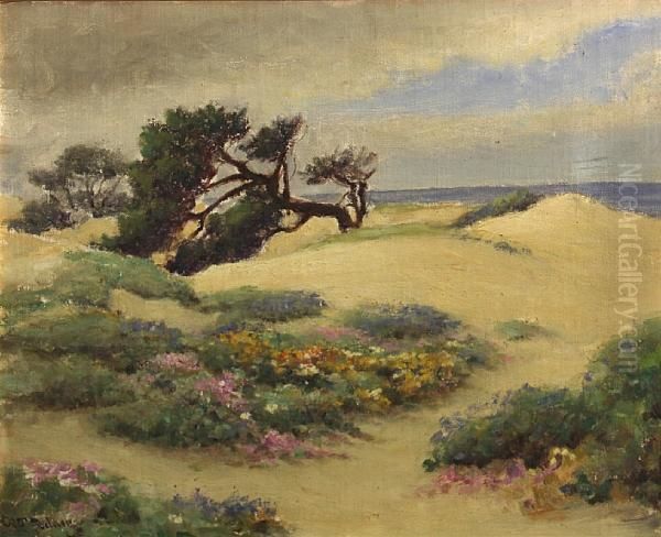 Sand Dunes With Cypress And Flowers - view 1