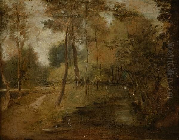 A River Bank - view 1