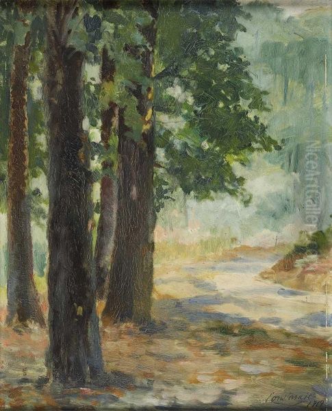 Paisagem - view 1