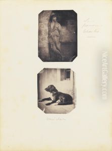 Album Photographique