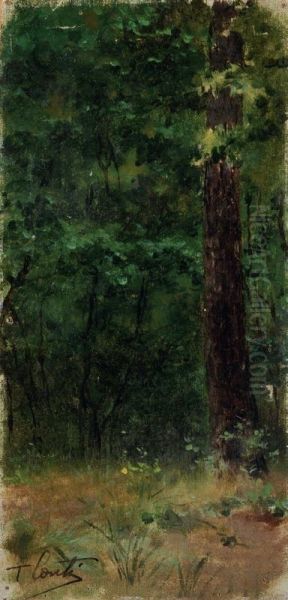 Bosco - view 1