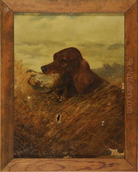 Irish Setter With A Quail - view 1