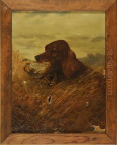Irish Setter With A Quail