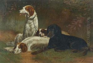 Setters At Rest by Annie H. Conway Heaslip