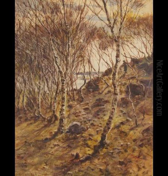 Woodland Scene With Figure In The Distance - view 1