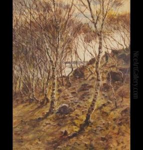Woodland Scene With Figure In The Distance by Herbert Moxon Cook