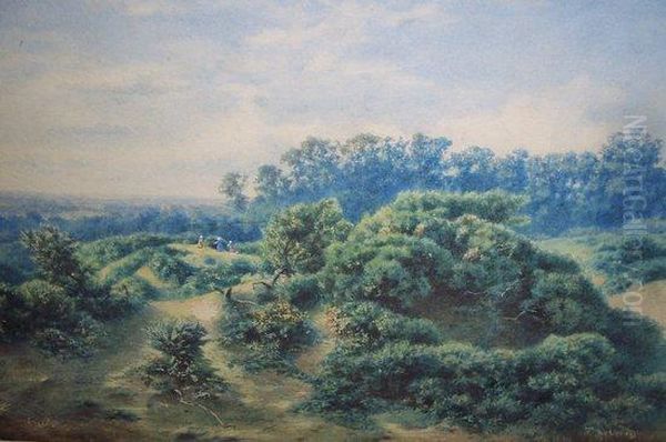 Playing On Hampstead Heath - view 1