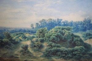 Playing On Hampstead Heath