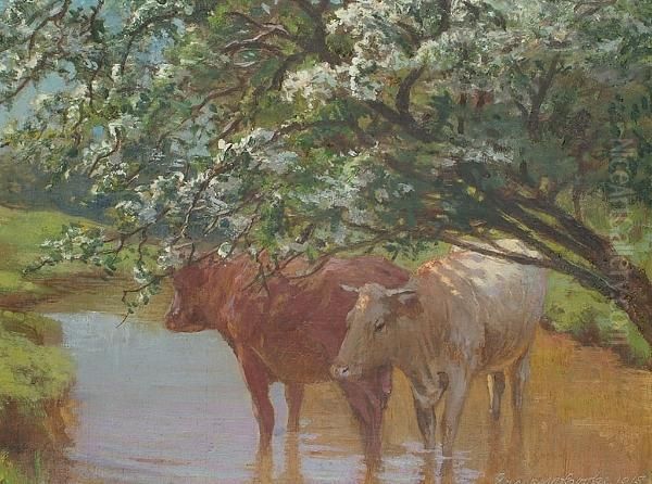 Cattle In A Stream. - view 1