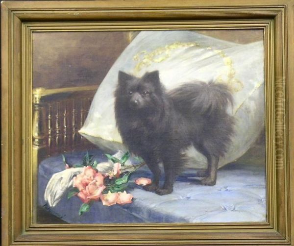 Pomeranian On A Daybed - view 1