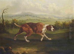 A Spanish Pointer In An Extensive Landscape by Abraham Cooper