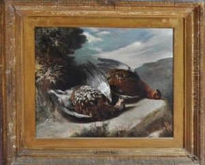 A Study Of Dead Grouse A Study Of Dead Grouse