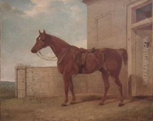 A Surrey Hunter Aged 22 Years by Abraham Cooper