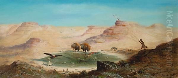 The Last Of The Buffalo - view 1