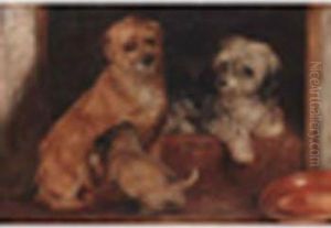 Attributed To Alexander Davis Cooper Terriers In A Kennel Oil On Paper Laid Down On Canvas7 X 10in by Alexander Davis Cooper