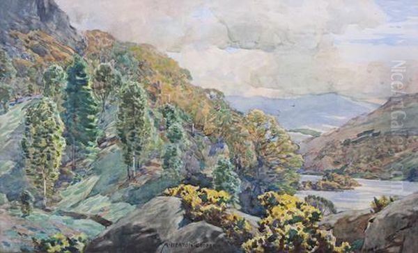 Woodland By A Lake's Edge - view 1