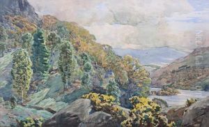 Woodland By A Lake's Edge by Alfred Heaton Cooper