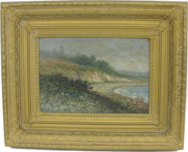 Coastal Scene Nearcarmel - view 1