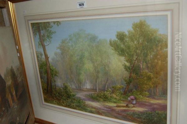 Edge Of The Wood, Great Barr - view 1