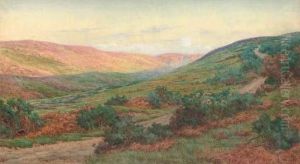 A Colourful Valley In Summer by Byron Cooper