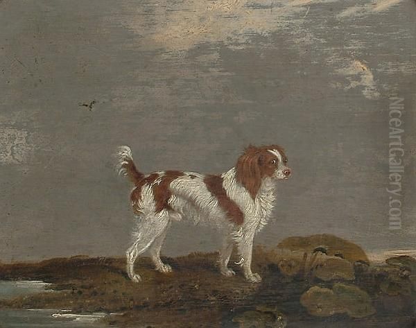 A Liver And White Spaniel In A Landscape - view 1
