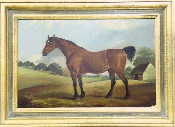 A Bay Hunter In A Landscape - view 1