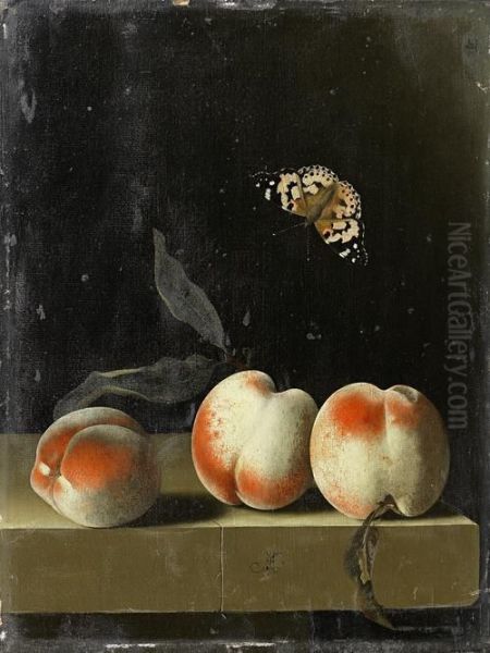 Three Peaches On A Stone Ledge With A Red Admiral Butterfly by Adriaen Coorte
