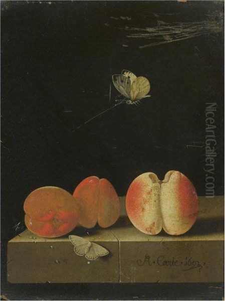 Still Life With A Peach And Two Apricots On A Stone Ledge, Together With Two Butterflies by Adriaen Coorte